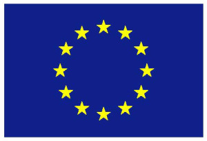 EU flag plain